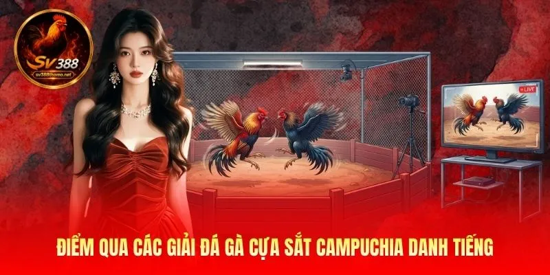 Điểm qua các giải đá gà cựa sắt Campuchia danh tiếng